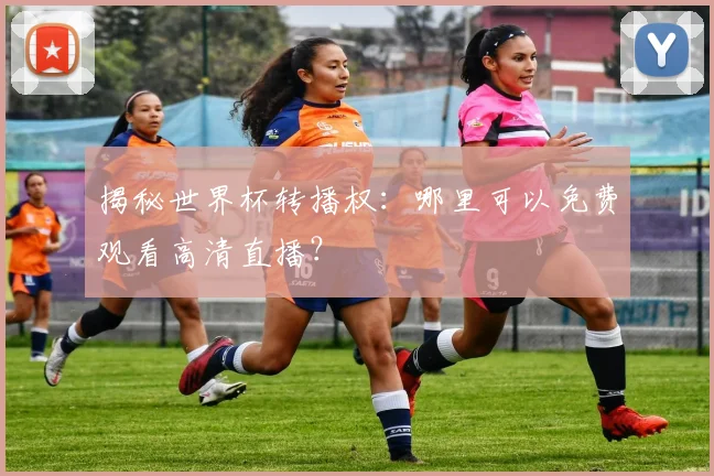 揭秘世界杯转播权：哪里可以免费观看高清直播？